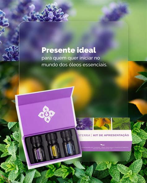 Kit De Apresentação Dōterra Óleos Essenciais Doterra Óleos Essenciais Óleo Essencial