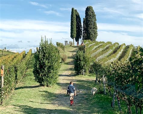 Weekend Nel Monferrato Con Bambini Parco Magico E Panchine Giganti