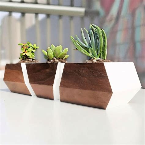 DIY Succulent Planter: 13 Steps (with Pictures)