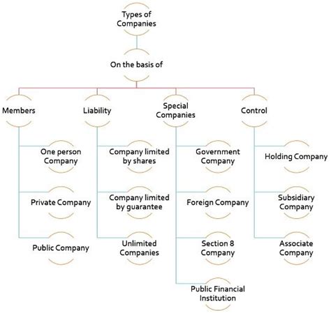 What Are The Types Of Companies Definition And Types Business Jargons