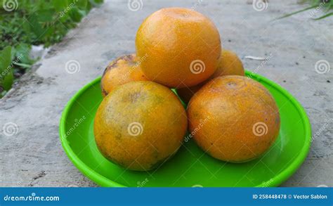 Illustration Photography of Orange Fruit. Orange Color Stock Photo ...