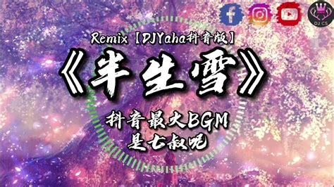 《半生雪》 是七叔呢 Remix 【djyaha抖音版】「半生風雪 吹不散歲月留下的眼淚」 Youtube