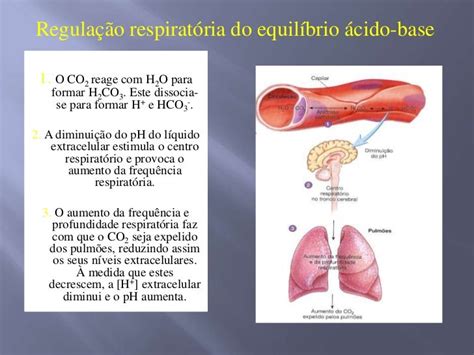 Aula Equilíbrio ácido Base