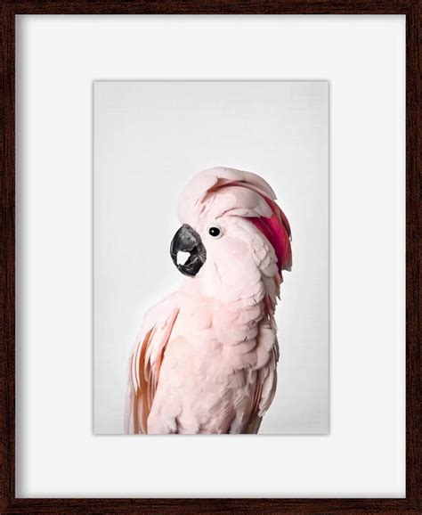 Pink Cockatoo | abstract art, interior art, artwork, hand painted ...