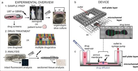 Microfluidic Drug Delivery To Tumor Slice Cultures Ufluidix