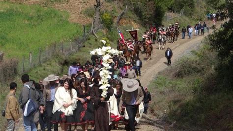 3 versión de la Fiesta Cruz del Trigo en Carrizal Maipo La Tribuna