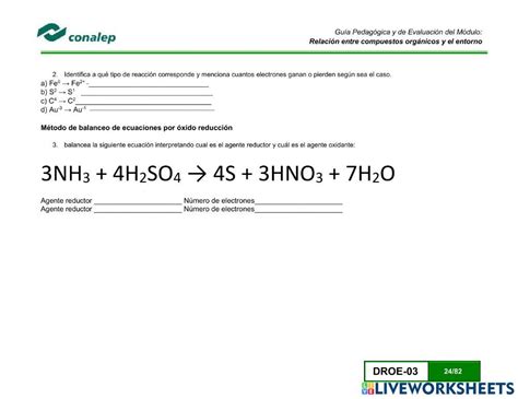 Balanceo De Ecuaciones Por Redox Worksheet Workbook School Subjects