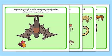 Jungle And Rainforest Modelling Dough Mats Arabic Translation