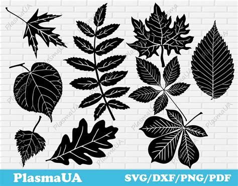 Feuilles Svg Feuille Svg Fichiers Pour Cricut Fichiers Dxf Etsy France