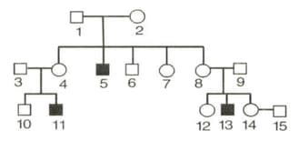 Explain The Mechanism Of Sex Determination In Birds