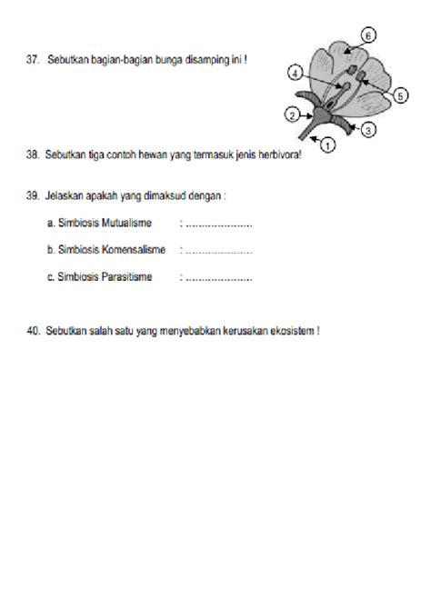 Soal Dan Kunci Jawaban Latihan Soal Pas Ipa Kelas 4 Semester 1 Gasal