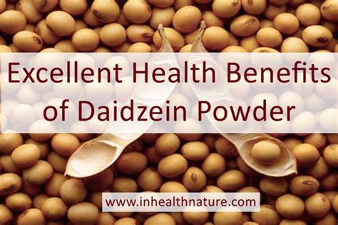 China Daidzein Powder Manufacturers Suppliers Factory Natural