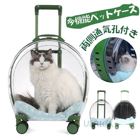 【楽天市場】猫用品 キャット用品 動物 犬 猫 小型 中型 可愛い ペット用品 ペット ケージ かご 外出用 通気性 キャリー 大容量