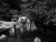 Naked Tereza Füsterova Added 07 19 2016 by leanimal