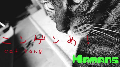 Japanese GarageBand original CAT SONG garage punk ハマンズ オリジナルソング ニンゲン