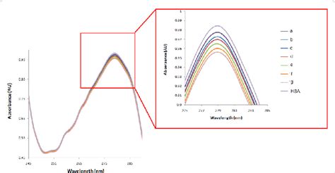 Uv Absorbance Of Hsa M With Different Concentration Of