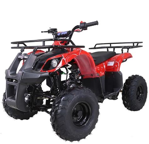 Buy The Taotao Ata 125 D Atv Kids 120cc Four Wheelers