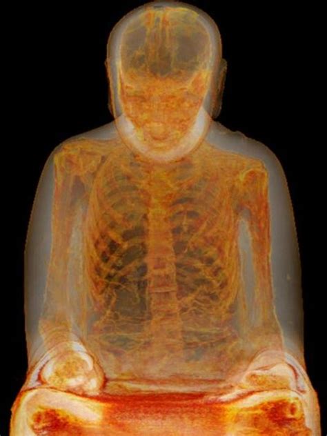 Mummified Monk Inside Buddha Statue Found In China The Indian Panorama