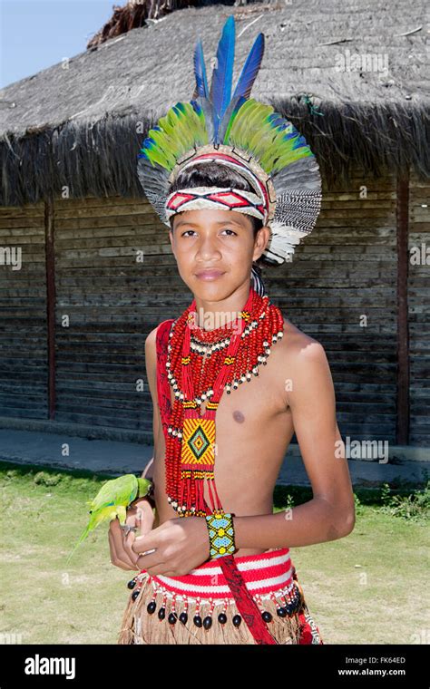 Indigenous brazil fotografías e imágenes de alta resolución - Alamy