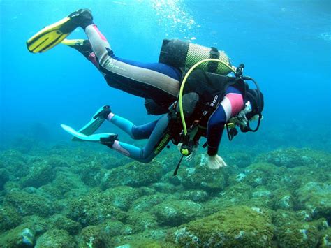 Buceo En El Hierro Descubre La Calma Viajar Es Vivir