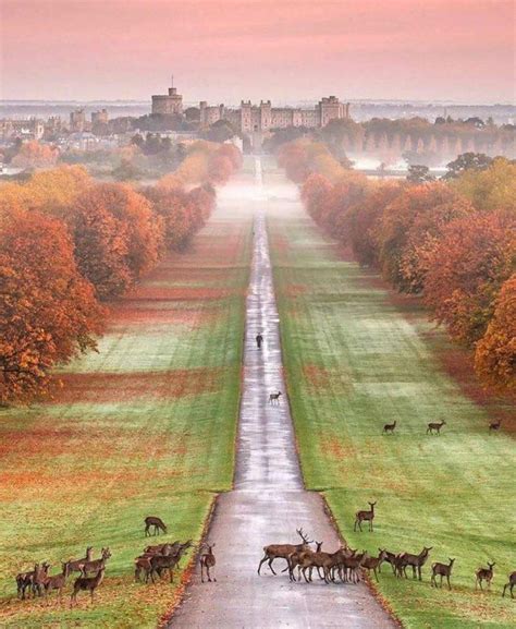 Windsor castle, England : r/castles