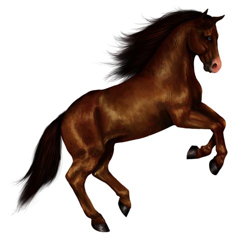 Horse PNG Images - Transparent HD Photo Clipart