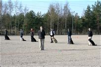 Toko Agility Oulun Seudun Noutajakoirayhdistys Ry