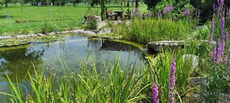 Benz Marco Heule Gartenbau