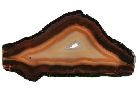 Brazilian Agate Slices For Sale - FossilEra.com