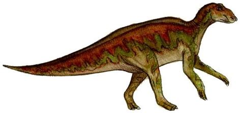 Hadrosaurus Pictures & Facts - The Dinosaur Database