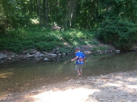 Locust Grove Nature Center in Bethesda, Ohio - Kid-friendly Attractions ...