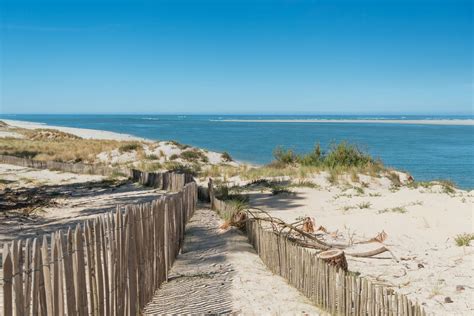 Voyage en France les forêts du Bassin d Arcachon des milieux