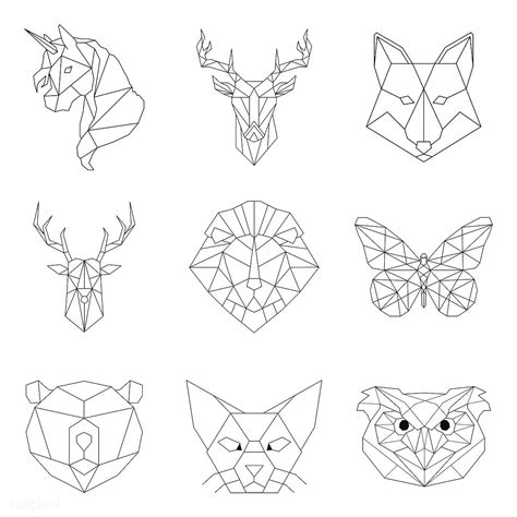 set  animal linear illustrations premium image