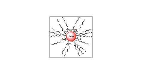 Identification Of Acidic Phosphorus Containing Ligands Involved In The