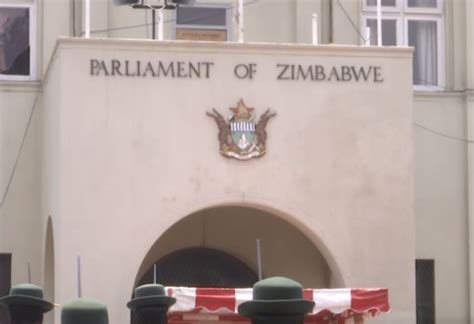 Zimbabwe human rights | Government threatens shutdown of NGOs - eNCA