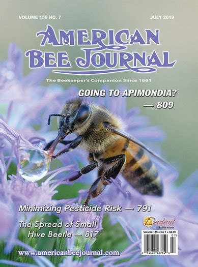 American Bee Journal Magazine Subscription - American Magazines