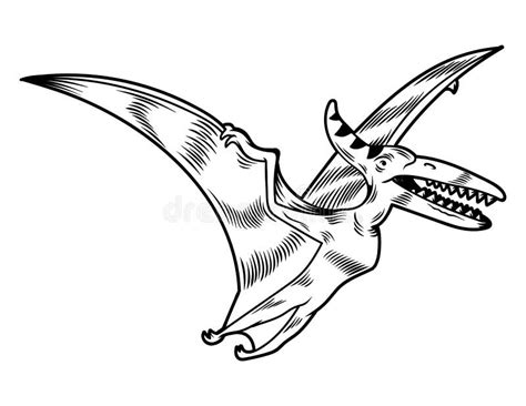 Dino Depredador Peligroso Pterod Ctilo Volando Ilustraci N Del Vector