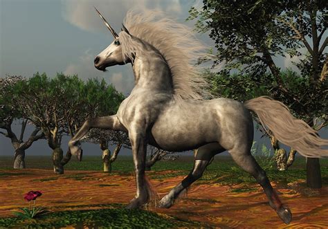 Unicorn Symbolism & Meaning (+Totem, Spirit & Omens) – Pet News Live