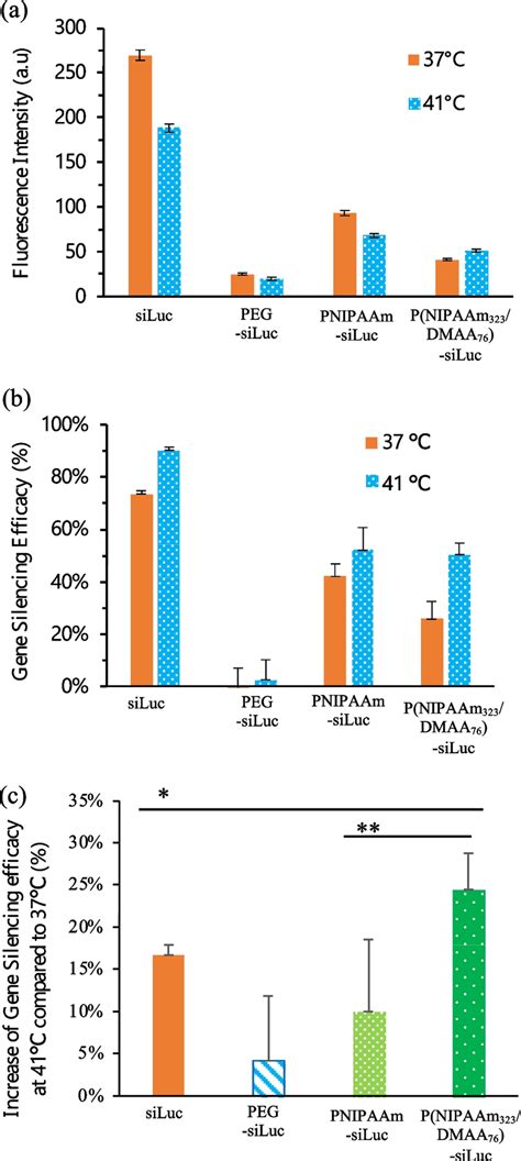 In Vitro Study With SK OV 3 Luc Cells A Cellular Uptake After 4 H