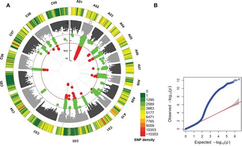 Frontiers Identification Of Candidate Genes For LepR1 Resistance