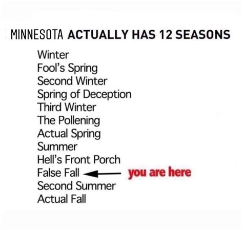 Sunday Funnies The 12 Seasons Of Minnesota Wyzguys Cybersecurity