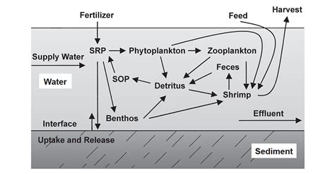 Water Quality Standards Total Phosphorus Responsible Seafood Advocate