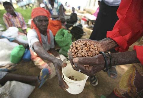 Zimbabue Se Enfrenta A La Sequía La Hambruna Y La Peor Crisis