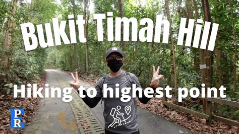 Bukit Timah Hill Hiking The Highest Point In Singapore Youtube