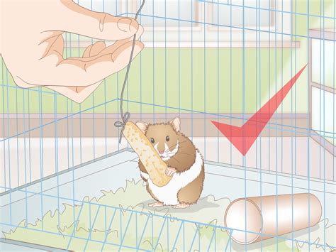 4 Ways to Make Hamster Treats - wikiHow