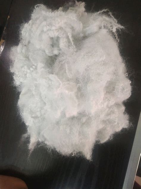 Polyester Staple Hollow Dry Fiber Recycled Denier Mm Rs Kg