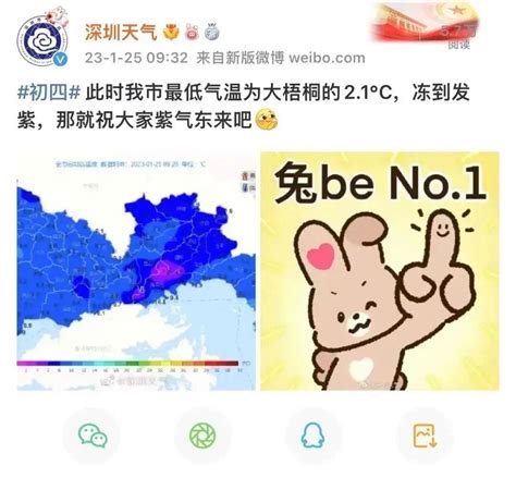 冷҈冷҈冷҈冷҈！深圳大梧桐最低温2 1℃！最冷一天来了 市县 天气 气温