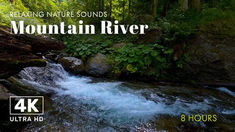 Soothing Mountain River For The Ultimate Sleep Hours Natural Water