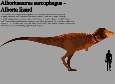 Albertosaurus art | Fandom