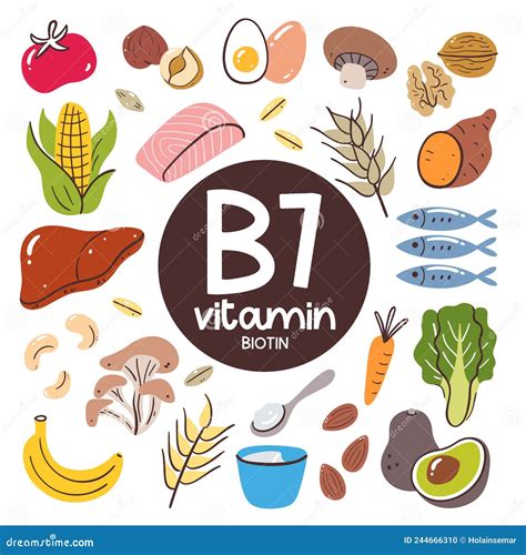 Vitamin B7 Biotin Molecule. Vector Illustration | CartoonDealer.com #191109026